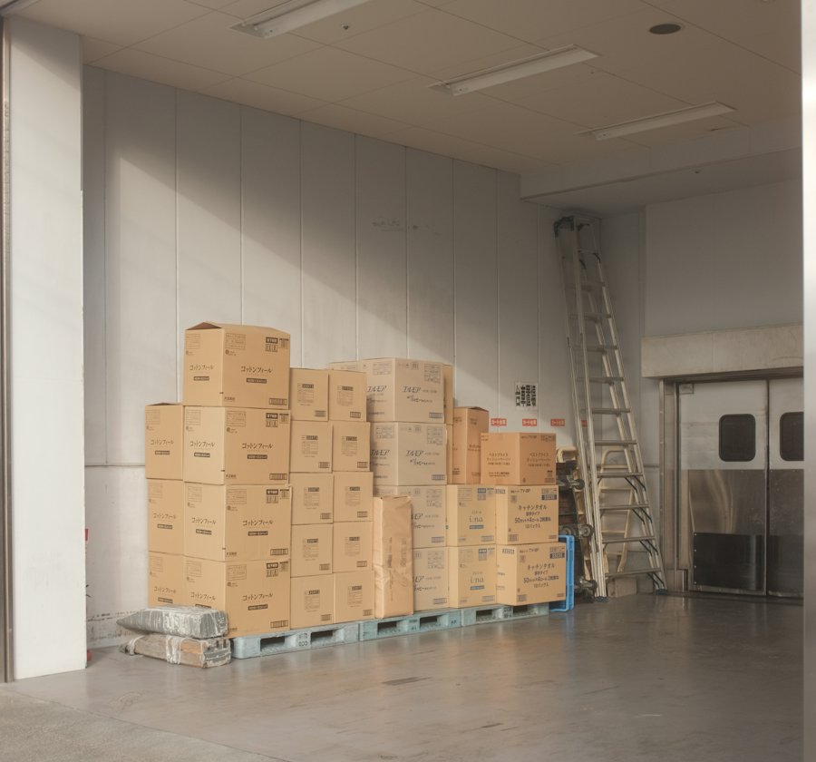 Thùng hàng xếp trên pallet trong kho mát