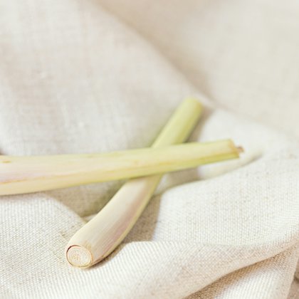 Hai nhánh sả tươi đặt trên tấm vải lanh mộc